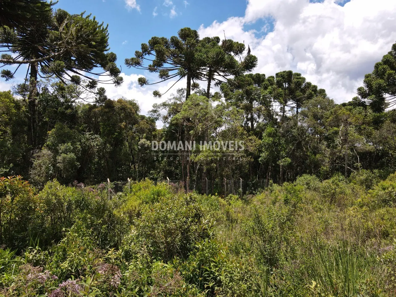Plot for sale of 1,010 m² in Campos do Jordão, SP, Brazil