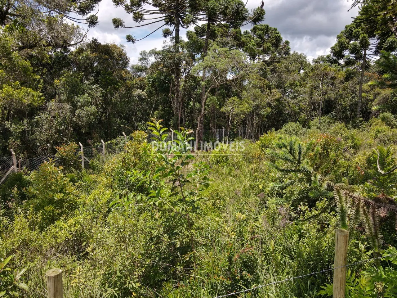 Plot for sale of 1,010 m² in Campos do Jordão, SP, Brazil