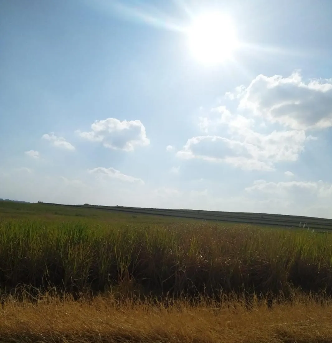 Fazenda à venda e para Arrendar de 1.239 ha em Quatá, SP, Brasil