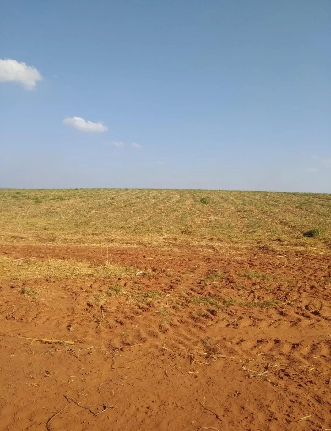 Fazenda à venda e para Arrendar de 1.239 ha em Quatá, SP, Brasil