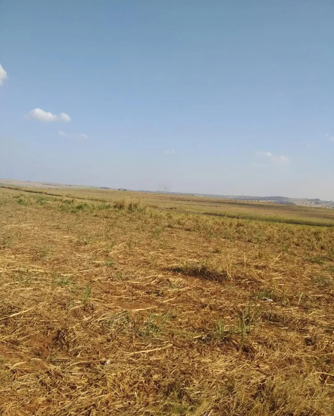 Fazenda à venda e para Arrendar de 1.239 ha em Quatá, SP, Brasil