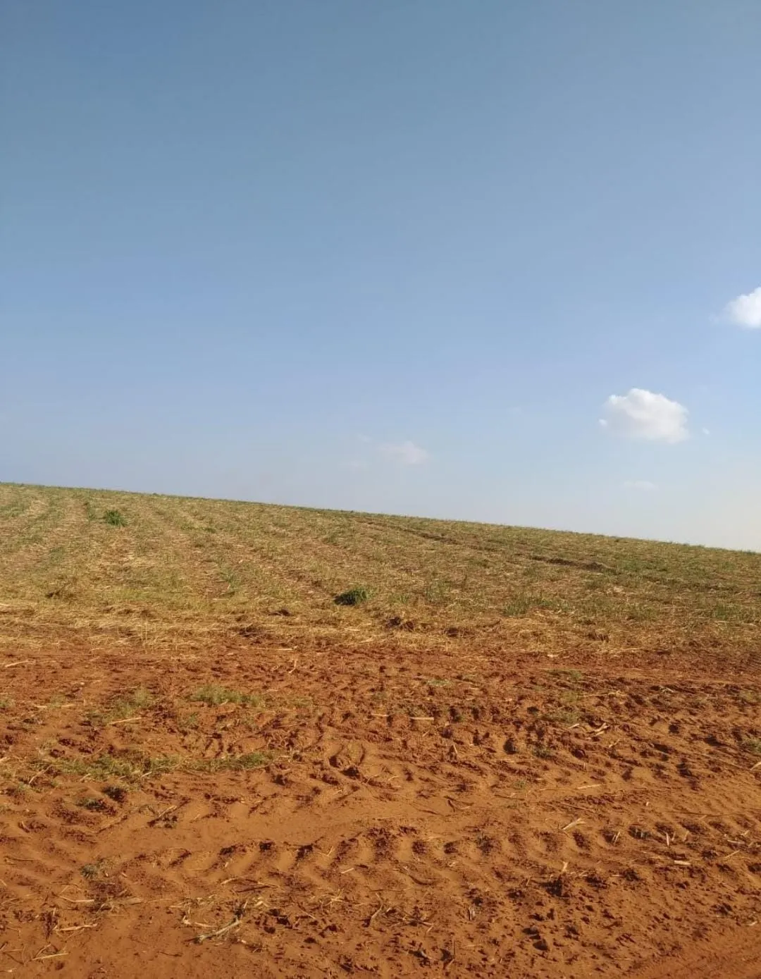 Fazenda à venda e para Arrendar de 1.239 ha em Quatá, SP, Brasil
