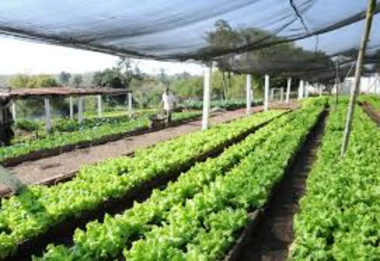 Fazenda à venda de 291 ha em Arapeí, SP, Brasil