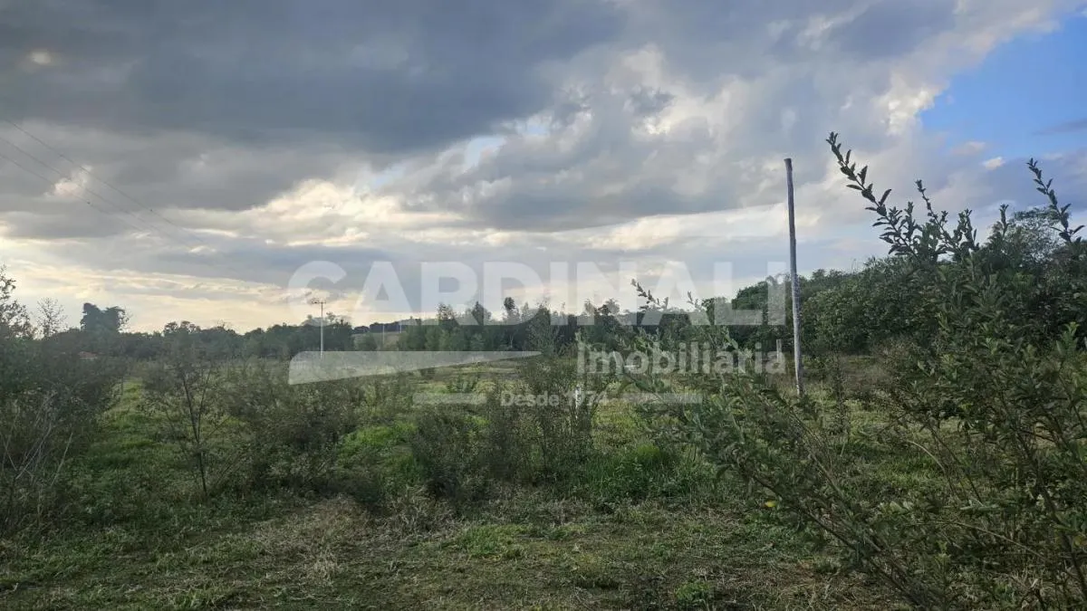 Chácara à venda de 2 ha em São Carlos, SP, Brasil