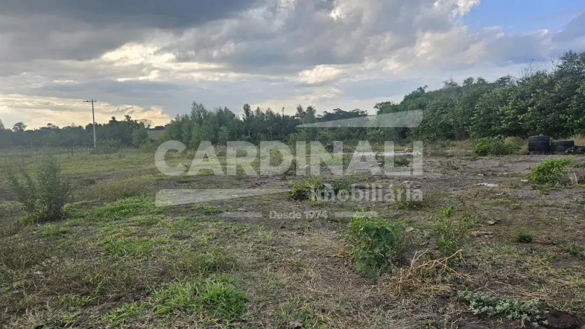Chácara à venda de 2 ha em São Carlos, SP, Brasil