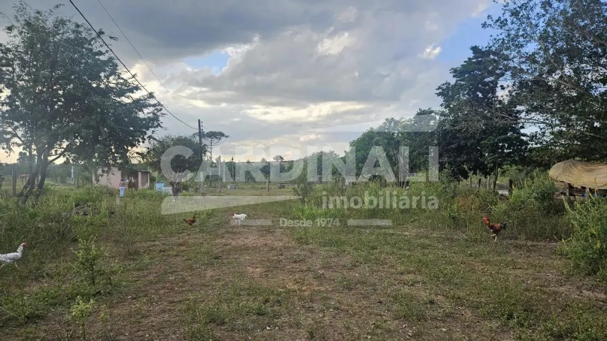 Chácara à venda de 2 ha em São Carlos, SP, Brasil