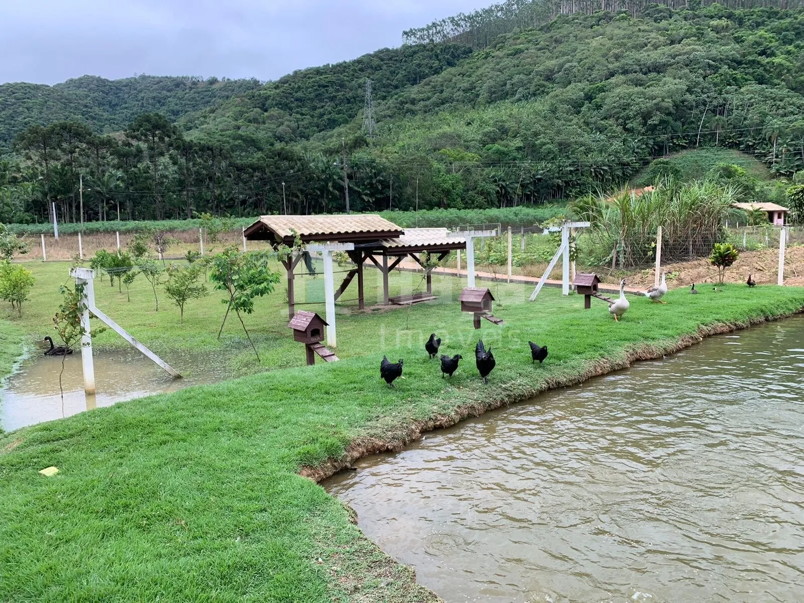 Fazenda à venda de 2 ha em Major Gercino, SC, Brasil