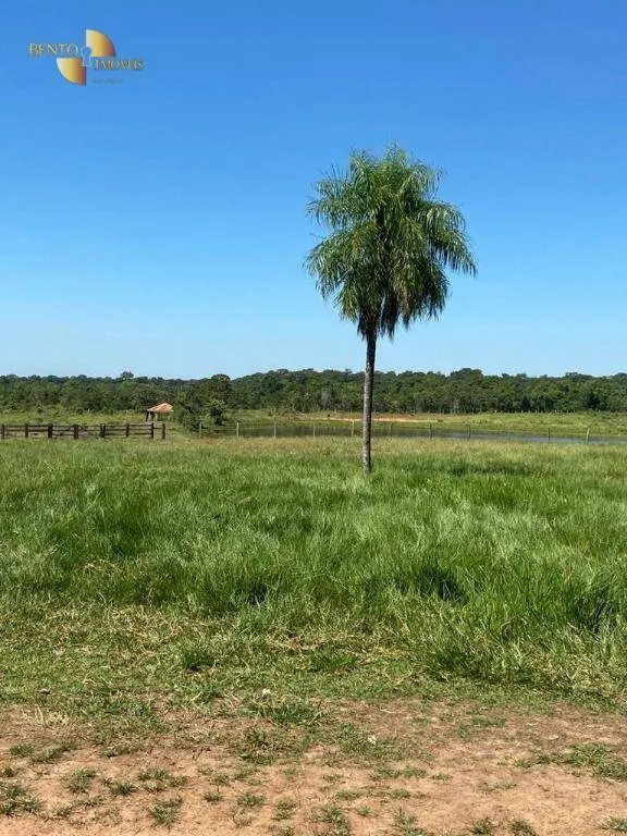 Fazenda à venda de 1.630 ha em Cuiabá, MT, Brasil