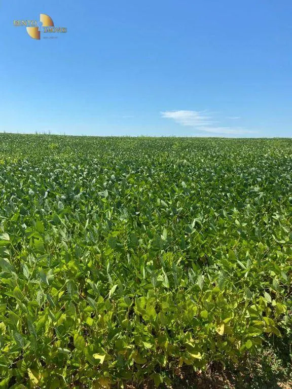 Fazenda à venda de 1.630 ha em Cuiabá, MT, Brasil