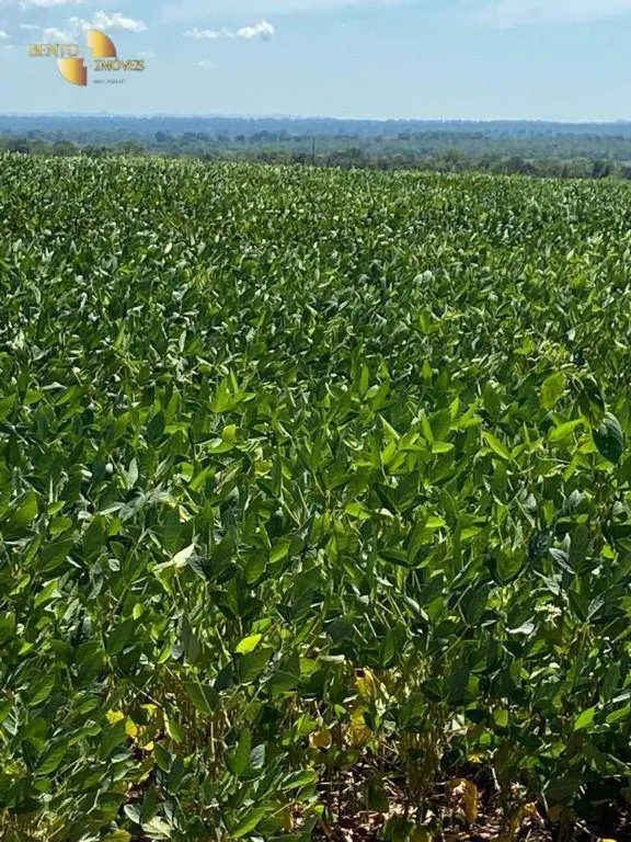 Fazenda à venda de 1.630 ha em Cuiabá, MT, Brasil