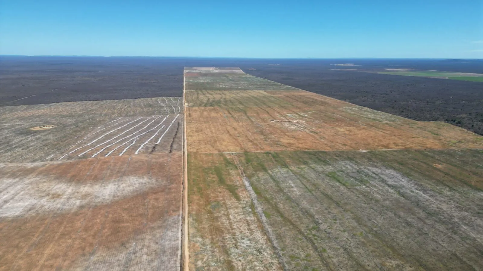Farm for sale of 10,084 acres in Barra, BA, Brazil