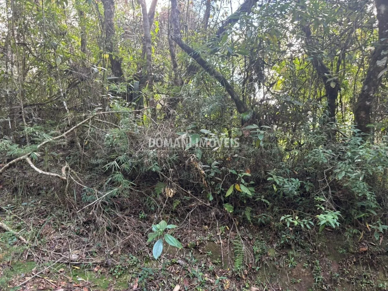Plot for sale of 2,570 m² in Campos do Jordão, SP, Brazil