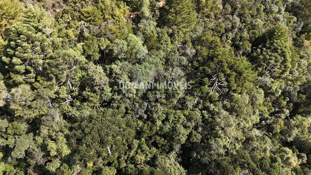 Plot for sale of 2,570 m² in Campos do Jordão, SP, Brazil