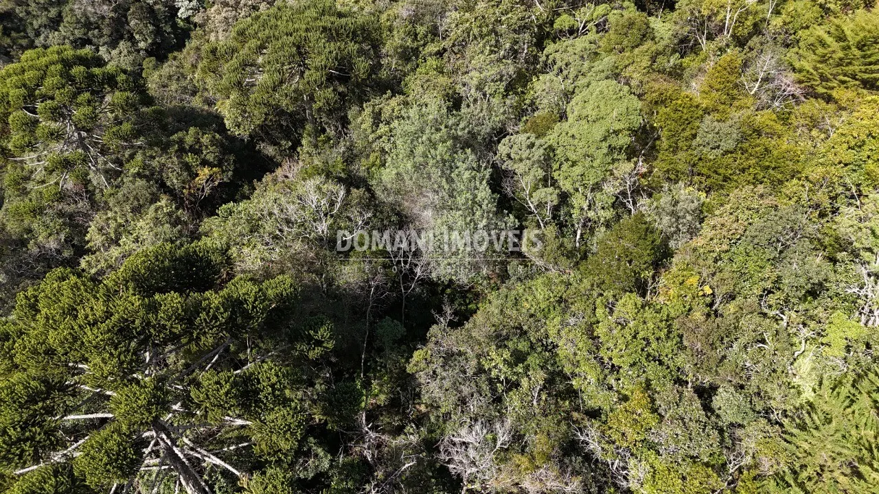 Plot for sale of 2,570 m² in Campos do Jordão, SP, Brazil