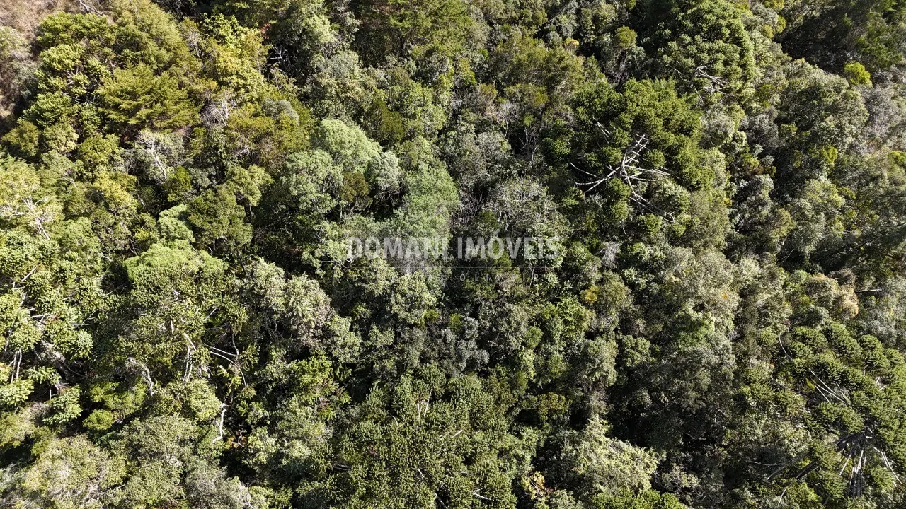 Plot for sale of 2,570 m² in Campos do Jordão, SP, Brazil