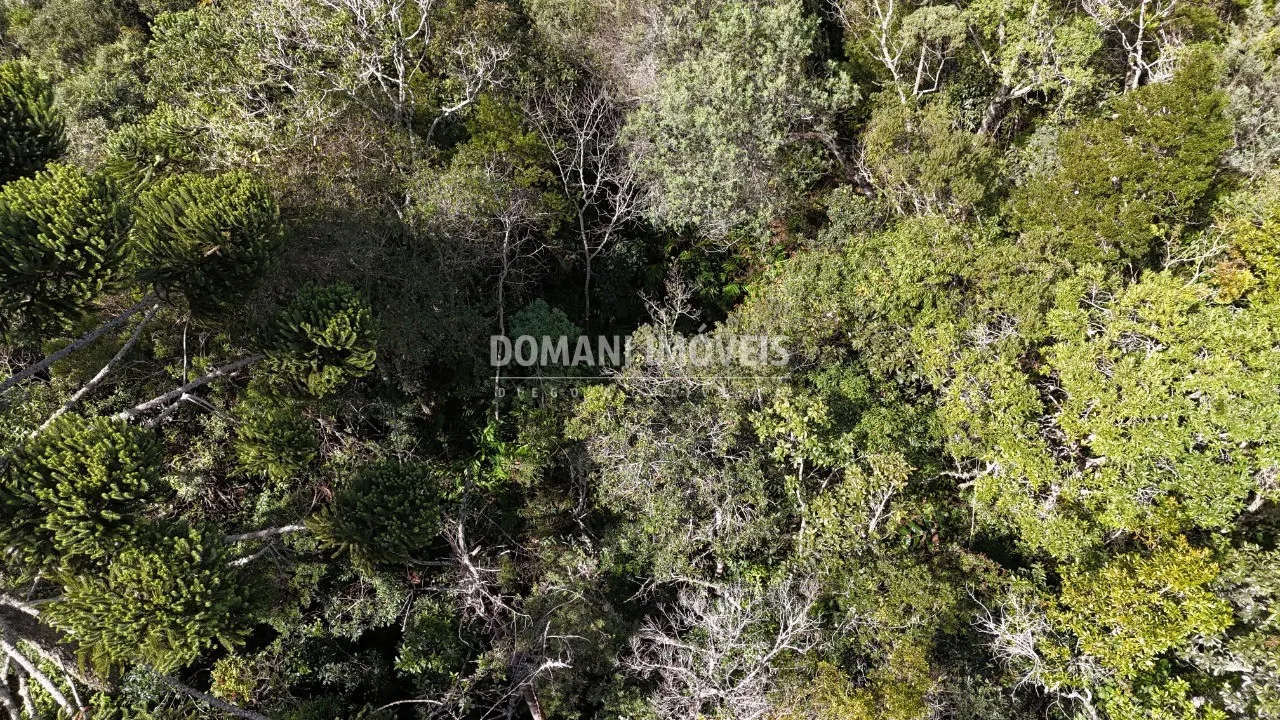 Plot for sale of 2,570 m² in Campos do Jordão, SP, Brazil