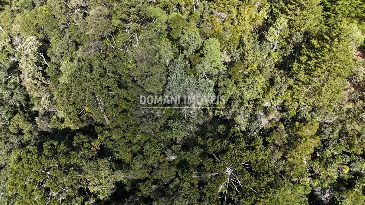 Plot for sale of 2,570 m² in Campos do Jordão, SP, Brazil