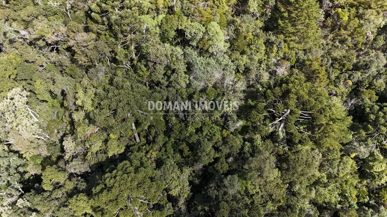 Plot for sale of 2,570 m² in Campos do Jordão, SP, Brazil