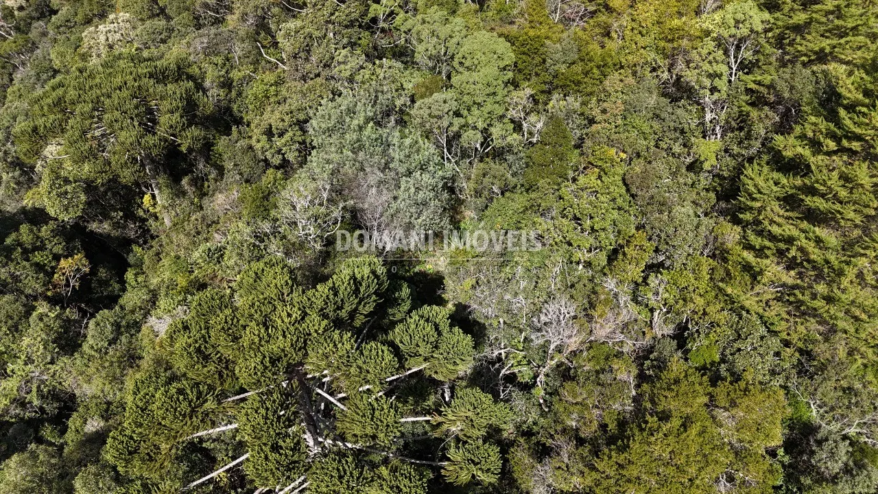 Plot for sale of 2,570 m² in Campos do Jordão, SP, Brazil