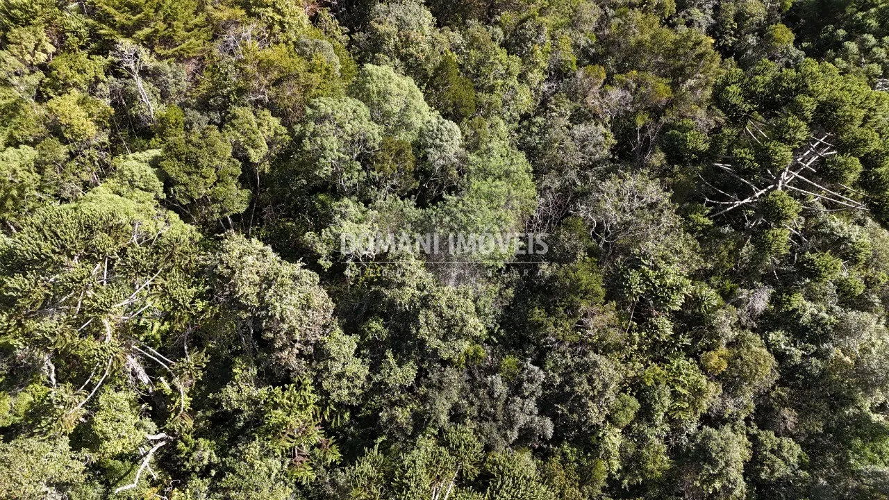 Plot for sale of 2,570 m² in Campos do Jordão, SP, Brazil