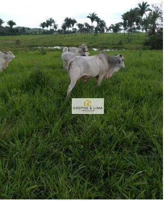 Fazenda à venda de 711 ha em Araguaína, TO, Brasil