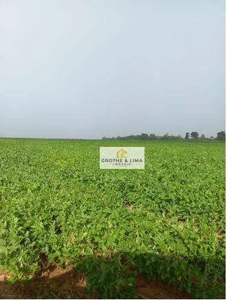Fazenda à venda de 711 ha em Araguaína, TO, Brasil