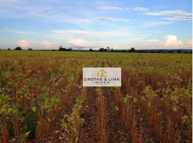 Fazenda à venda de 711 ha em Araguaína, TO, Brasil