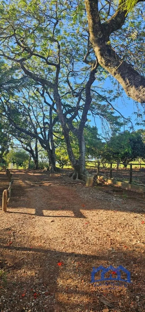 Small farm for sale of 54 acres in Itapetininga, SP, Brazil