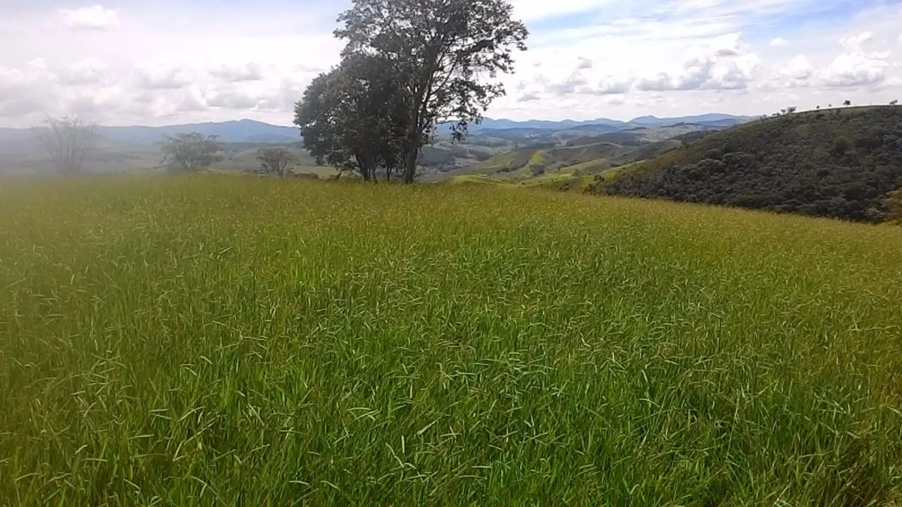 Sítio à venda de 73 ha em Lagoinha, SP, Brasil