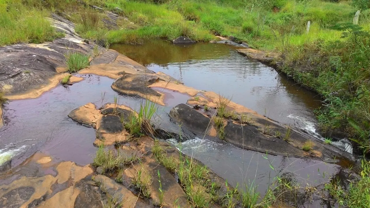 Sítio à venda de 73 ha em Lagoinha, SP, Brasil