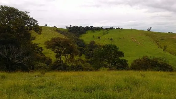Sítio à venda de 73 ha em Lagoinha, SP, Brasil