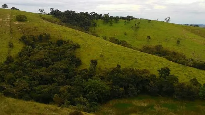Sítio à venda de 73 ha em Lagoinha, SP, Brasil