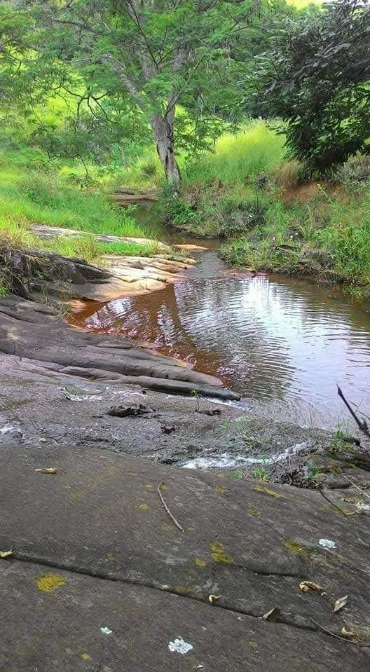 Sítio à venda de 73 ha em Lagoinha, SP, Brasil