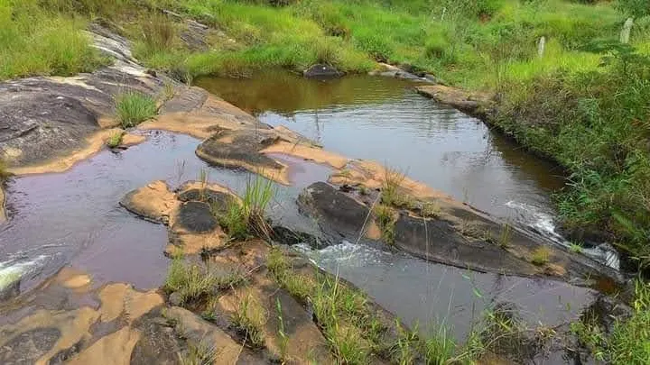 Sítio à venda de 73 ha em Lagoinha, SP, Brasil