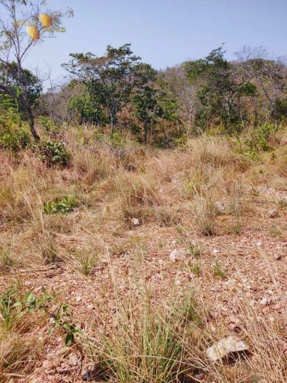 Fazenda à venda de 600 ha em Jangada, MT, Brasil