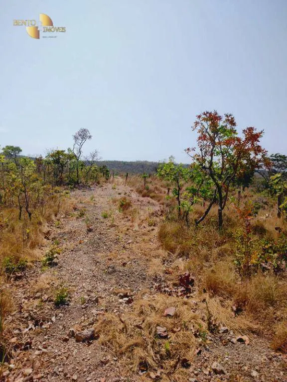 Fazenda à venda de 600 ha em Jangada, MT, Brasil