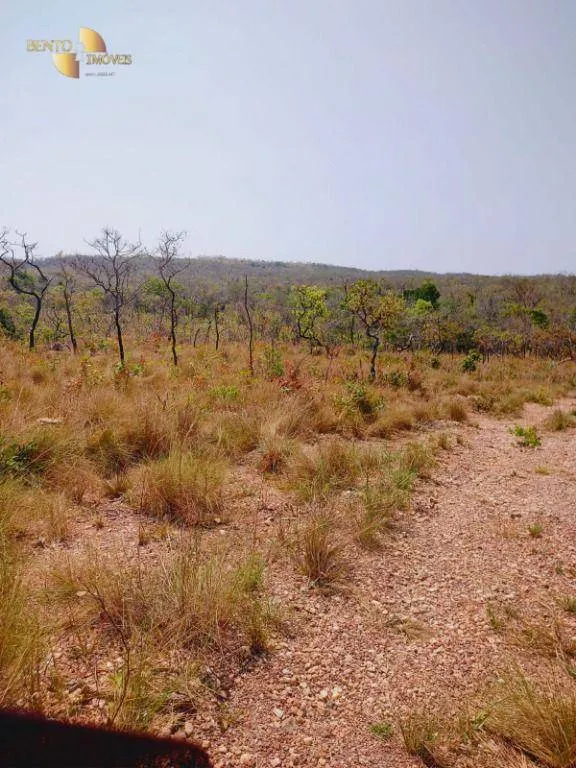 Fazenda à venda de 600 ha em Jangada, MT, Brasil