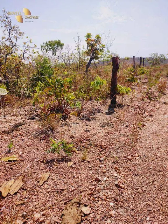 Fazenda à venda de 600 ha em Jangada, MT, Brasil