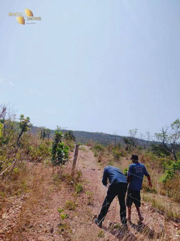 Fazenda à venda de 600 ha em Jangada, MT, Brasil