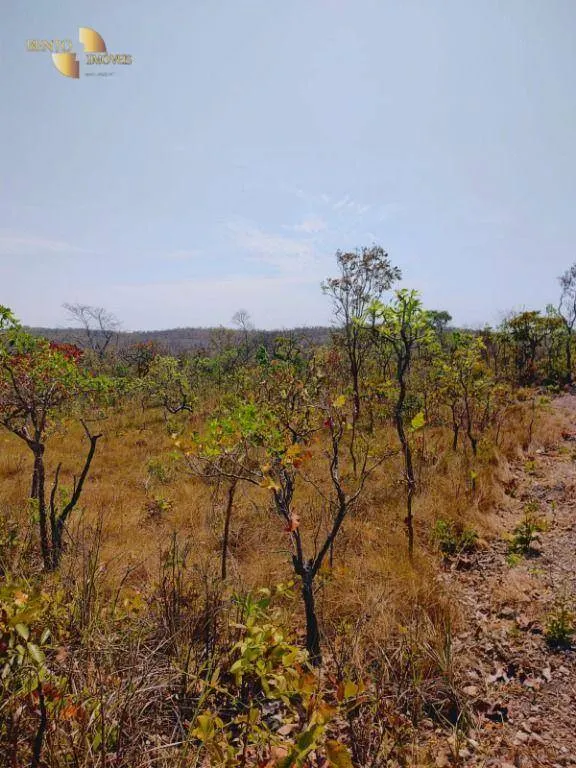 Fazenda à venda de 600 ha em Jangada, MT, Brasil