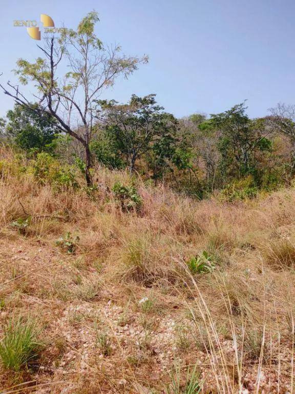 Fazenda à venda de 600 ha em Jangada, MT, Brasil