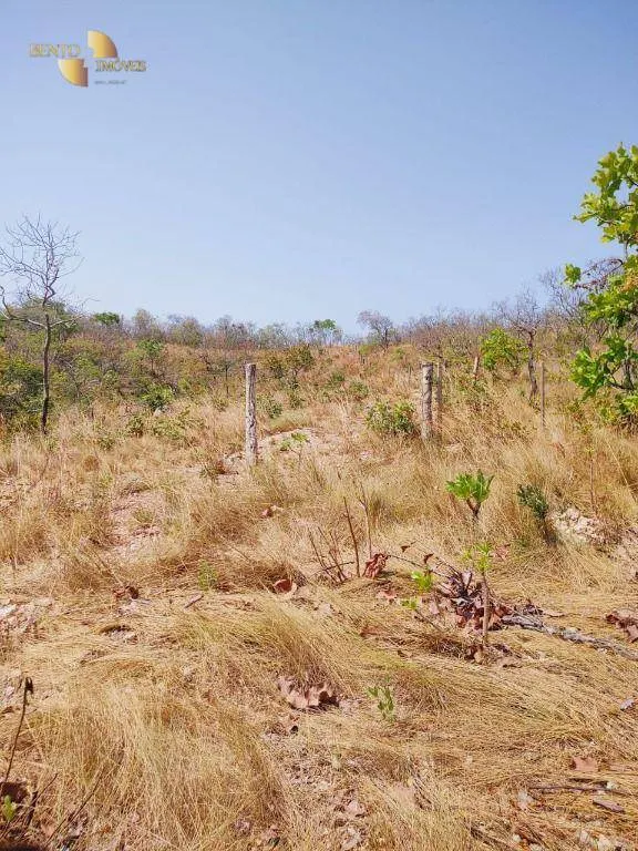 Fazenda à venda de 600 ha em Jangada, MT, Brasil