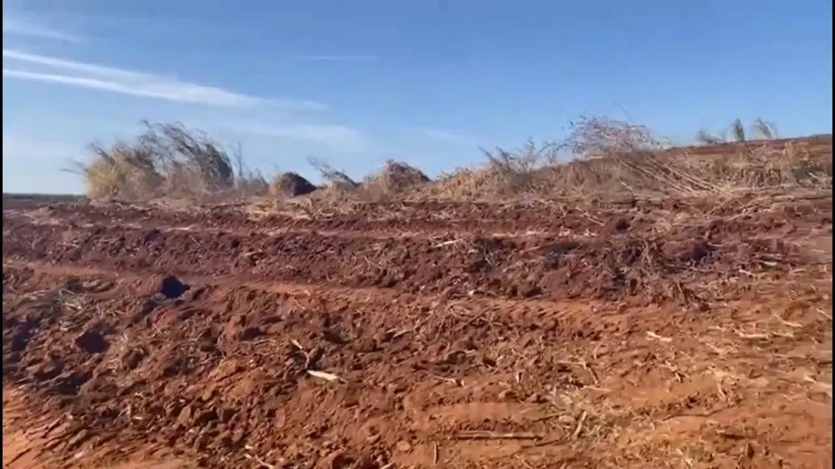 Fazenda à venda de 390 ha em Brotas, SP, Brasil