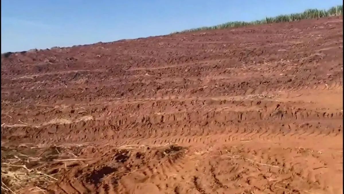 Fazenda à venda de 390 ha em Brotas, SP, Brasil