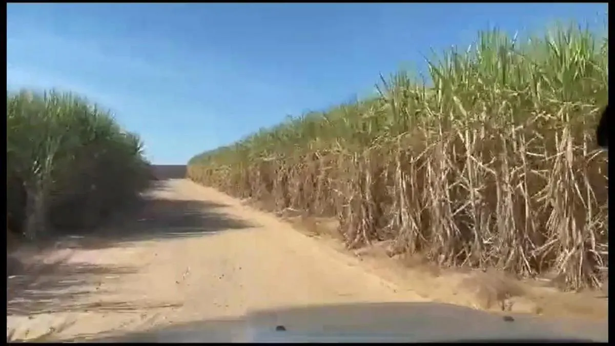 Fazenda à venda de 390 ha em Brotas, SP, Brasil