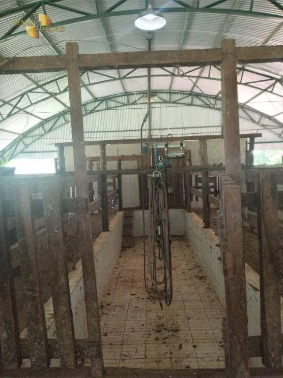 Fazenda à venda de 503 ha em Santo Antônio do Leverger, MT, Brasil