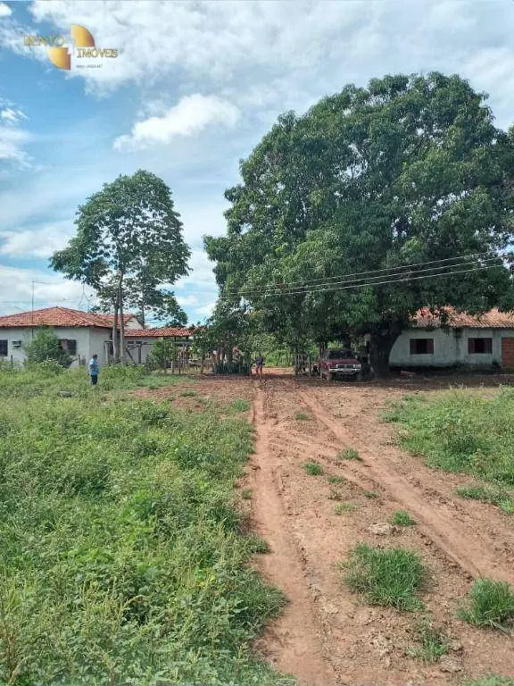Fazenda à venda de 503 ha em Santo Antônio do Leverger, MT, Brasil