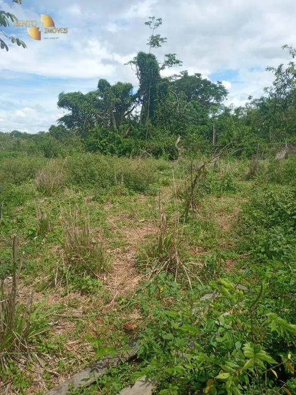 Fazenda à venda de 503 ha em Santo Antônio do Leverger, MT, Brasil