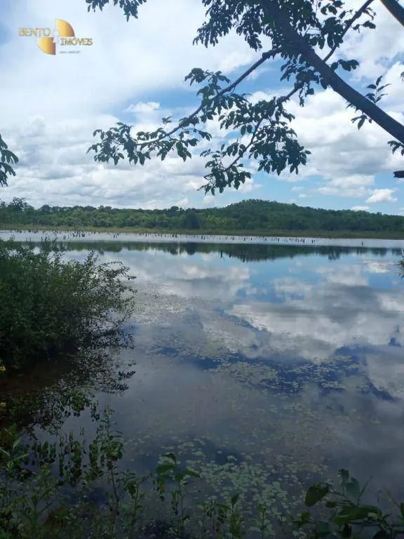 Fazenda à venda de 503 ha em Santo Antônio do Leverger, MT, Brasil