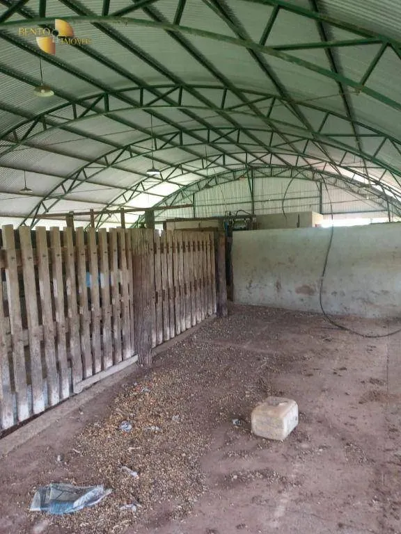 Fazenda à venda de 503 ha em Santo Antônio do Leverger, MT, Brasil